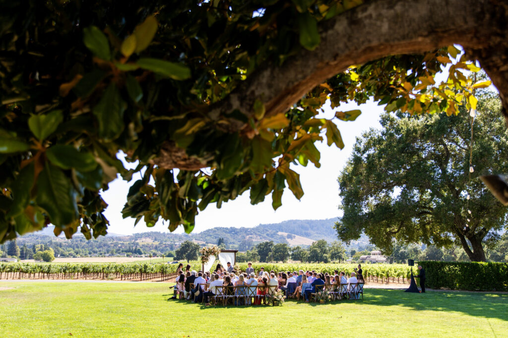 Sonoma elopement couple celebrating wine country