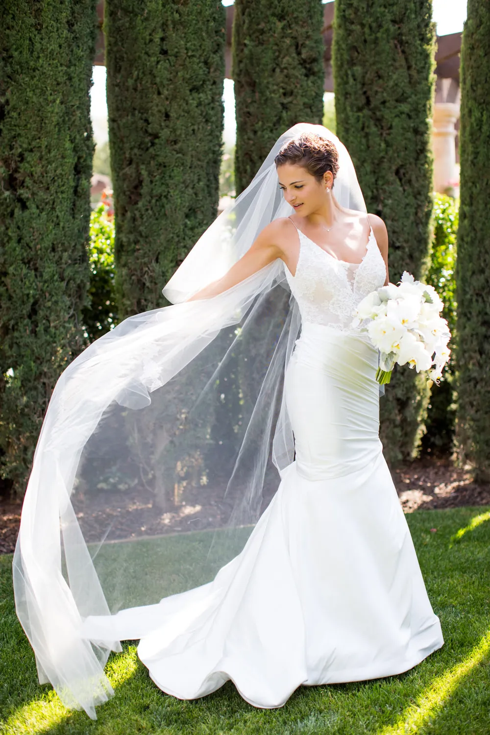 bride in veil in napa