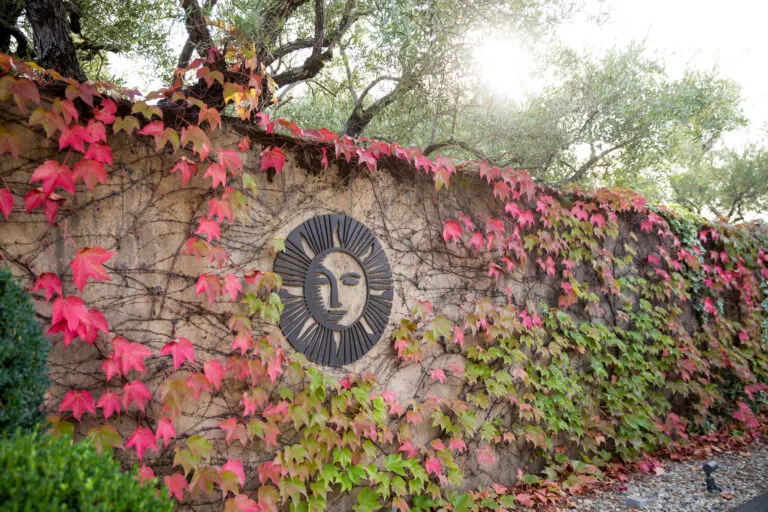 auberge du soleil napa