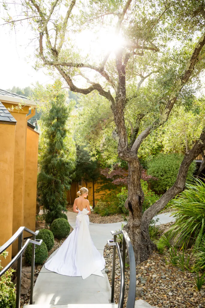 Napa Elopement Photographer 396