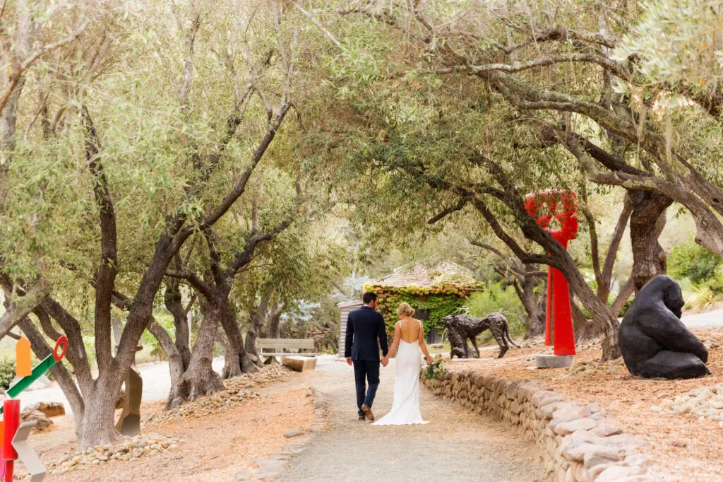 olive grove at auberge du soleil