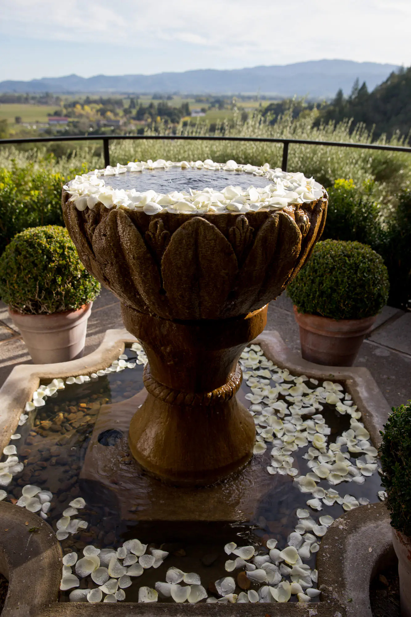 fountain and napa valley view